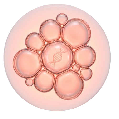 Liposomal PDRN