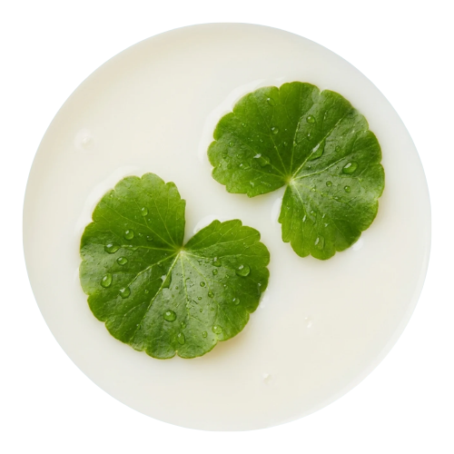 Centella Asiatica Extract
